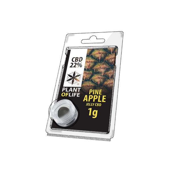 Plant Of Life Fruit Market Jelly 22% CBD 1g - Pineapple